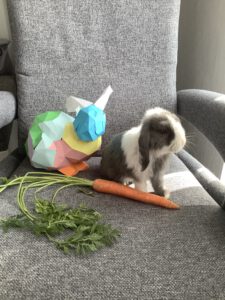 Kians (5b) bunter Hase mit Baby-Hase Rainer