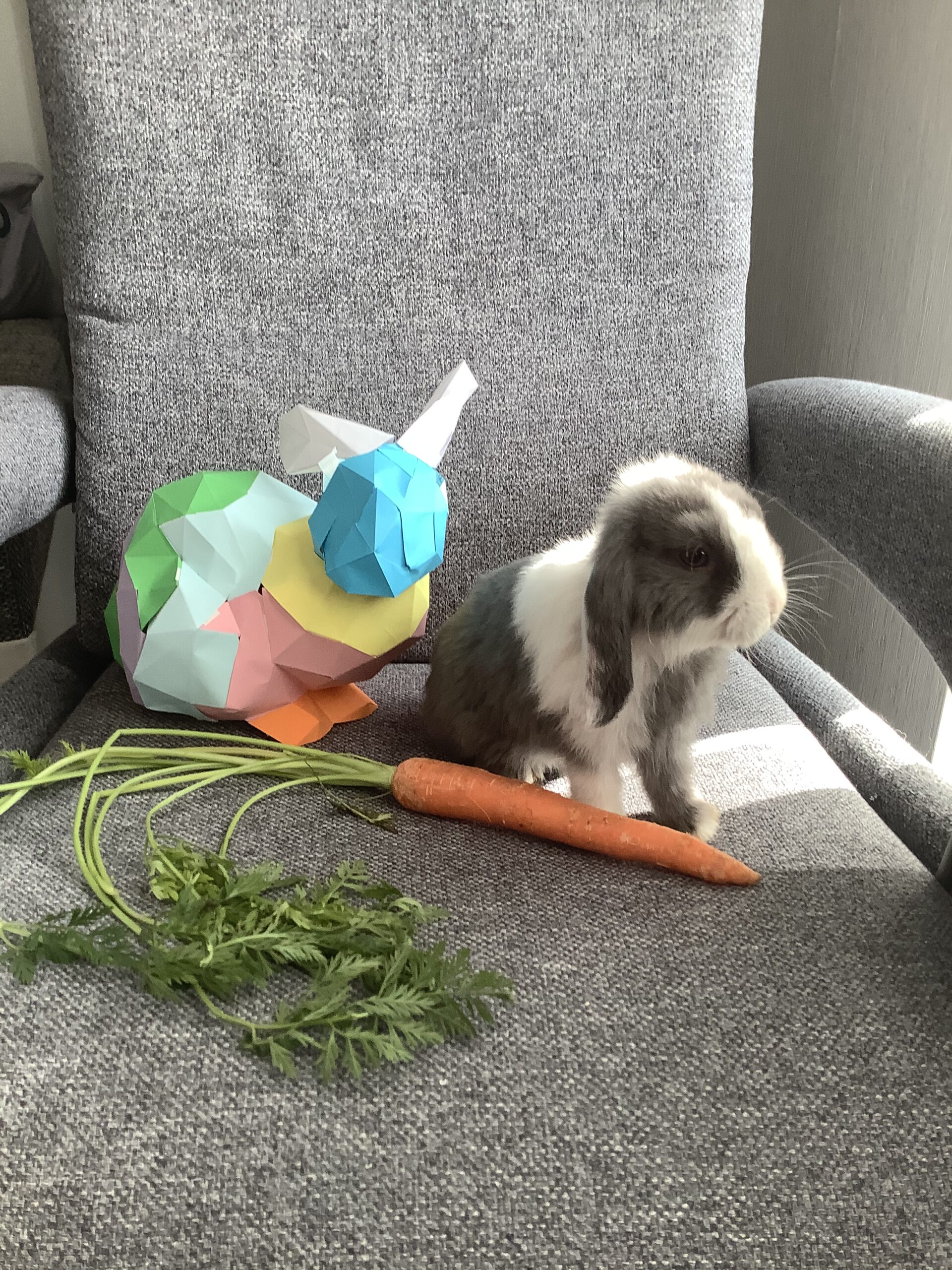 Kians (5b) bunter Hase mit Baby-Hase Rainer