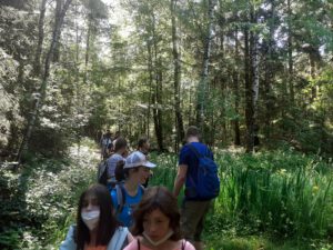 signal-2022-06-15-17-50-57-049