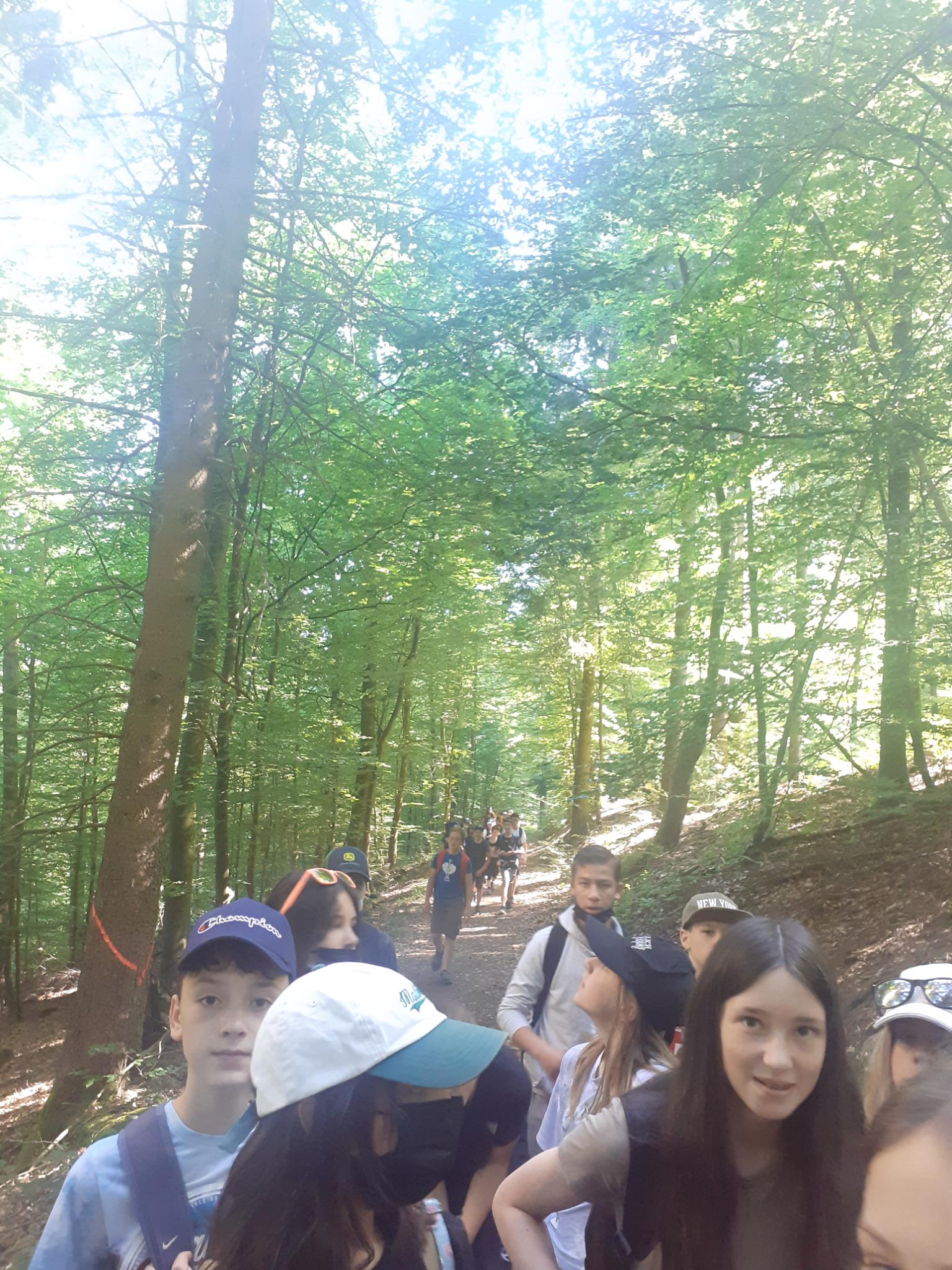 signal-2022-06-15-17-50-57-049