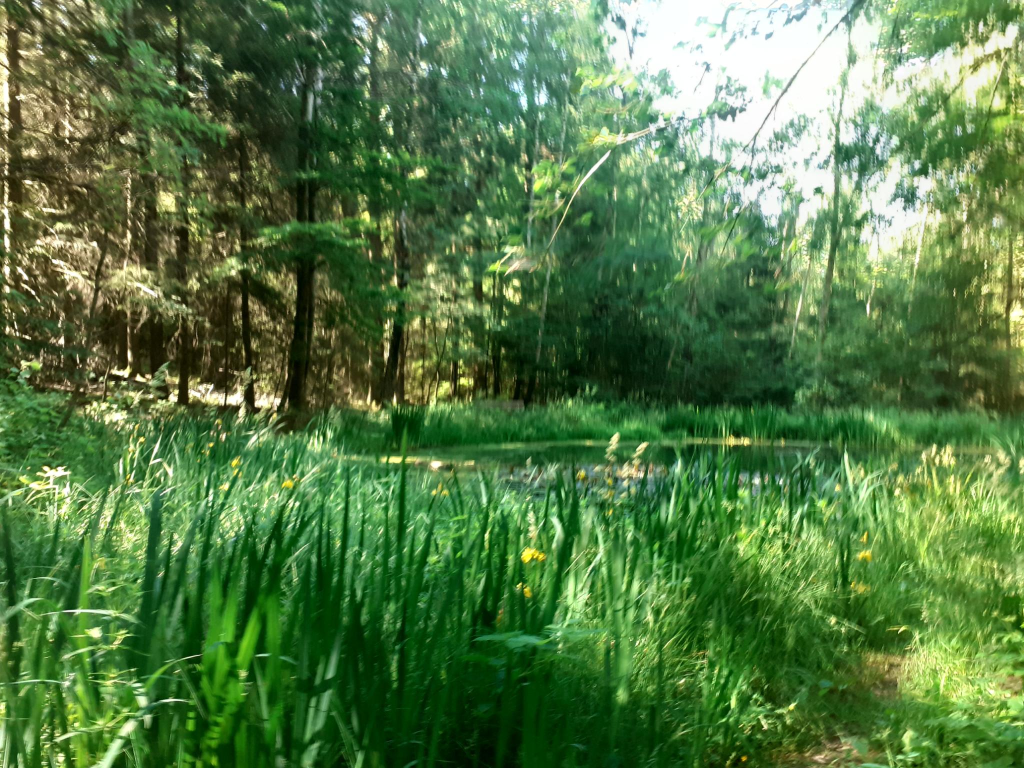 signal-2022-06-15-17-50-57-049