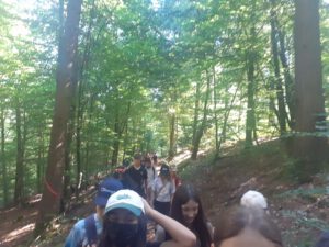 signal-2022-06-15-17-50-57-049