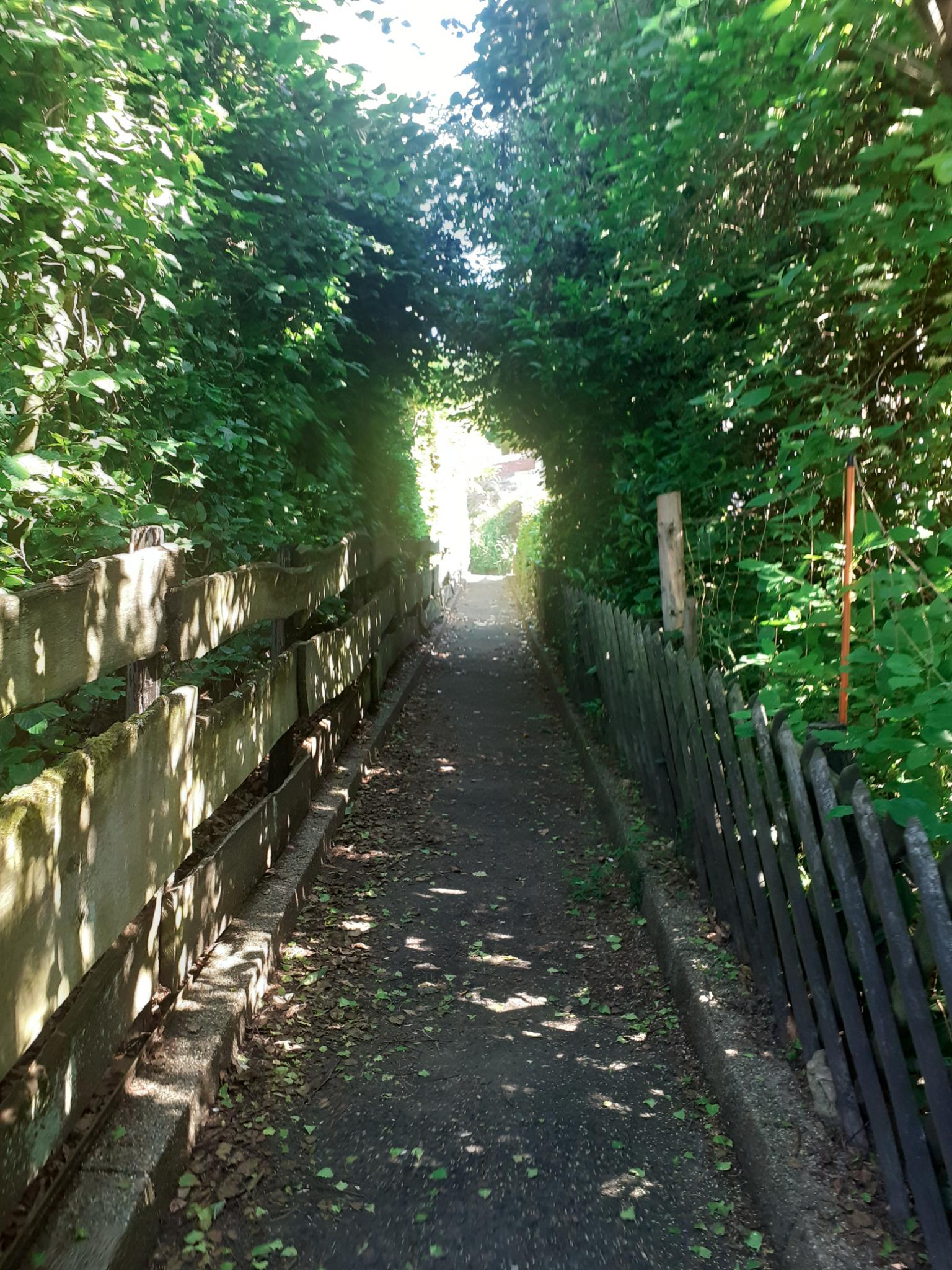 signal-2022-06-15-17-50-57-049