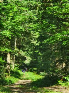 signal-2022-06-16-07-33-28-541