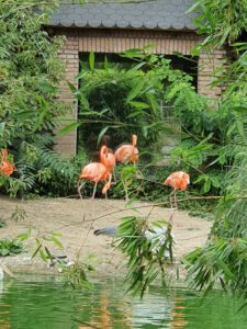 signal-2022-07-06-23-08-34-132