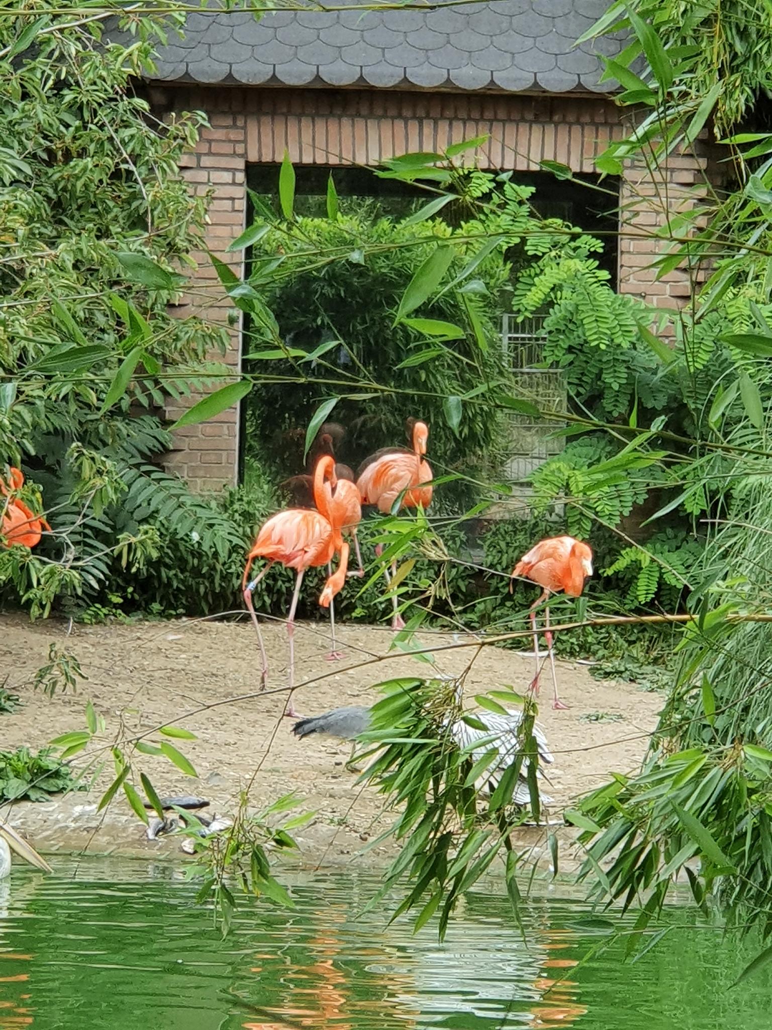 signal-2022-07-06-23-08-34-132