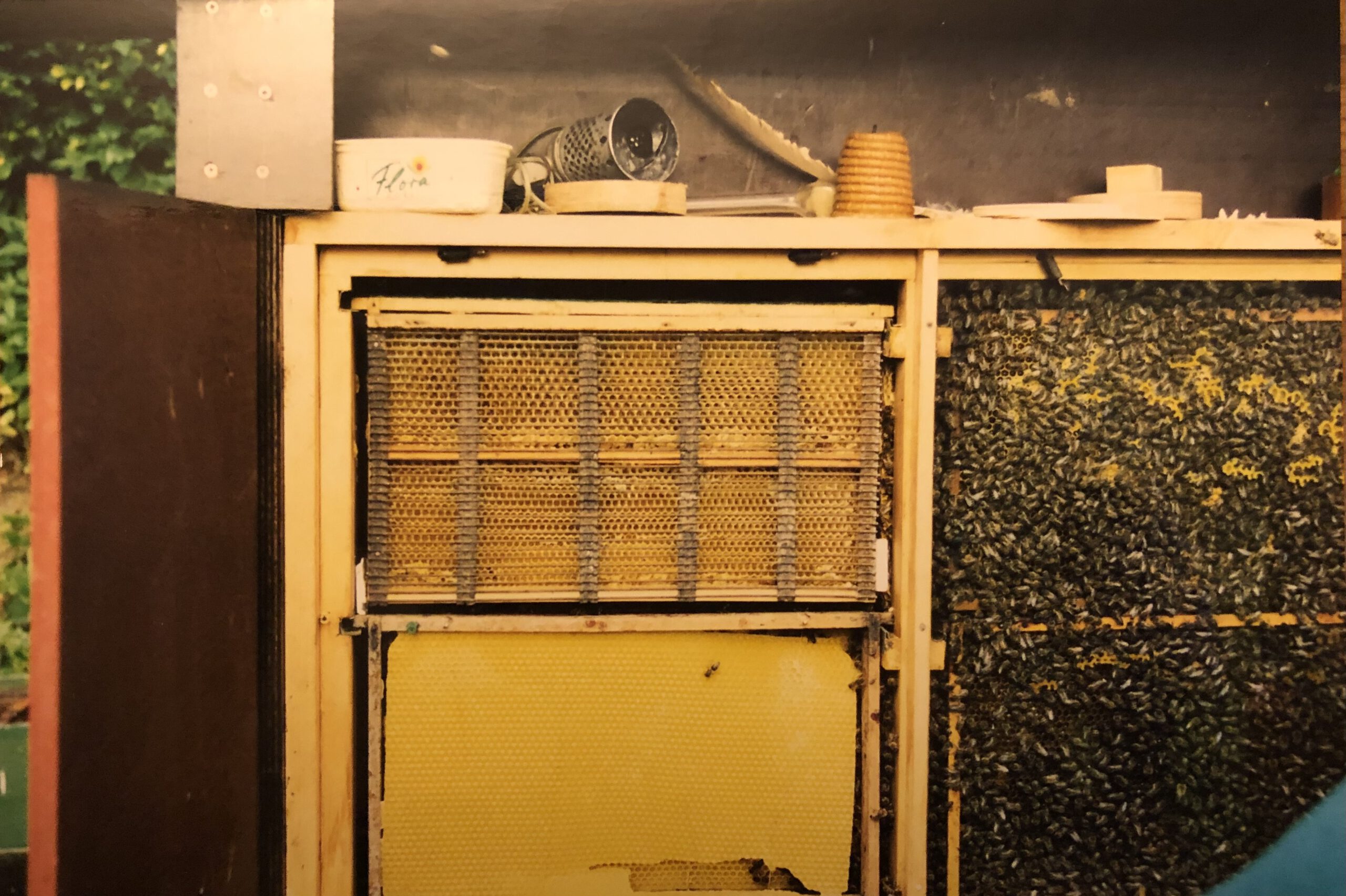 Bienenstock mit leeren Waben