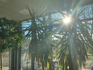 IMG_1499