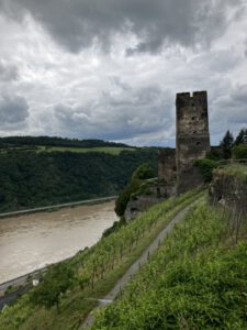 IMG_7907