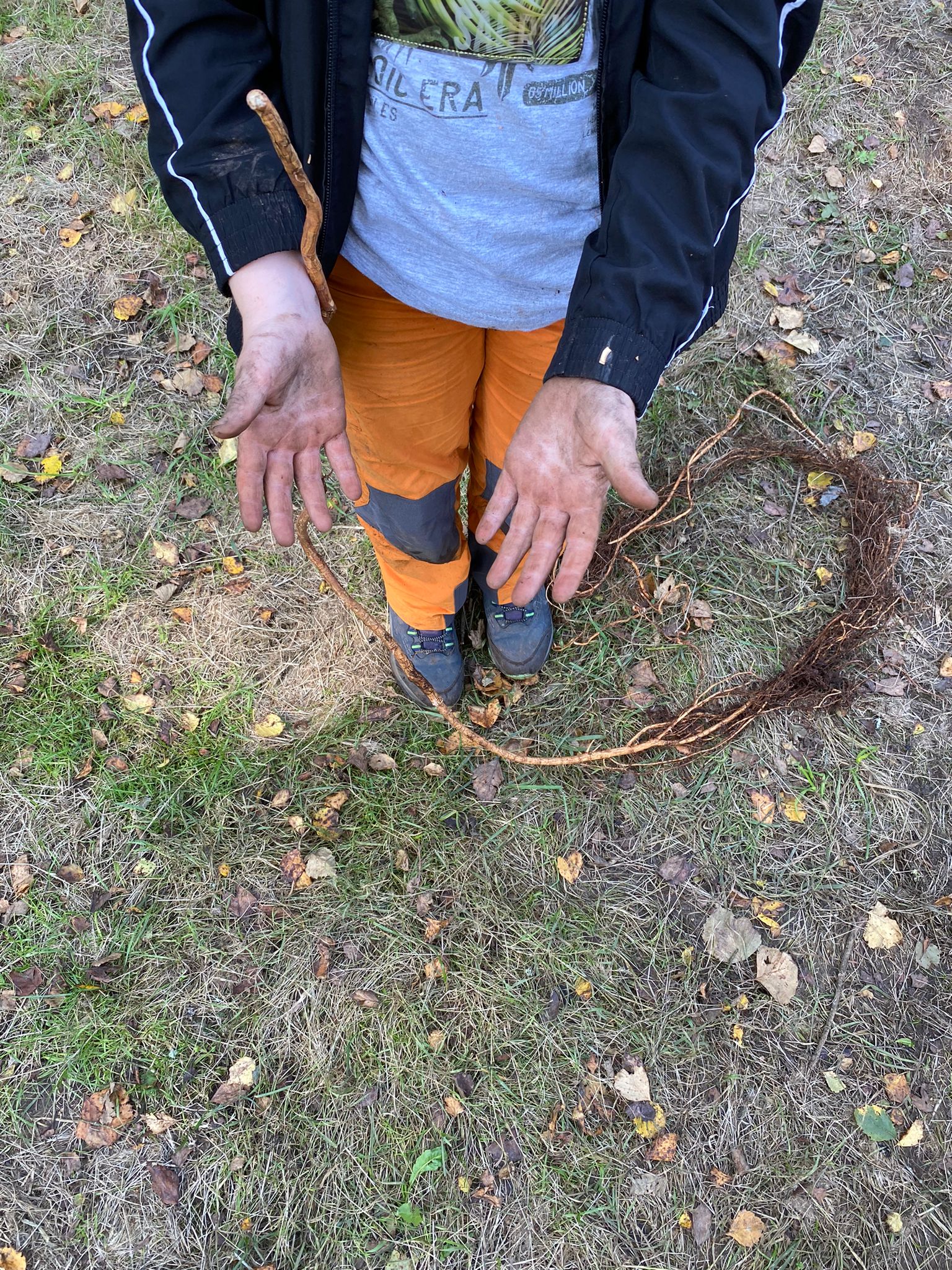 IMG-20240919-WA0043